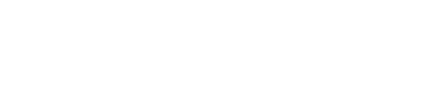 Achieve the Vision Icons