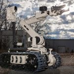 TIGR - Image 3
